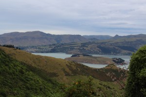 Hills above Christchurch