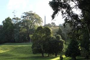 Cornwall Park in the Evening