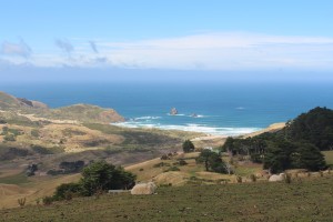 Driving Back on the Peninsula