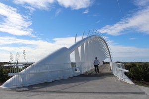 Walkway Bridge