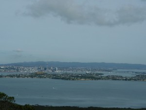 Auckland from the summit