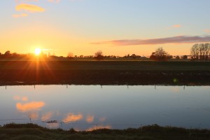 Dawn at Fenworth