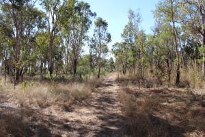 A walk in the Outback