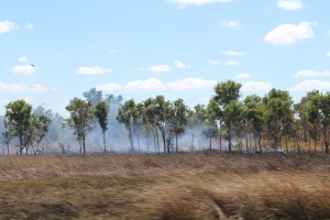 Bush Fires