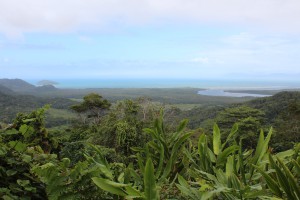 View on the way to the cape