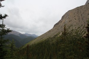 Early on the Skyline Walk