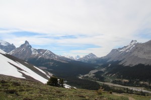 View from the Ridge