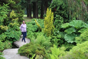 On the garden path