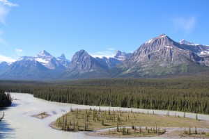 Views from the Icefield Parkway