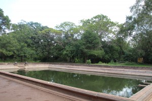 One of the twin pools