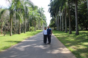 In the Botanic Garden