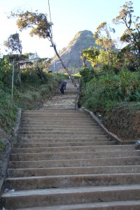 Looking up at the peak