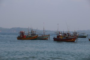 Moored Fishing Vessels