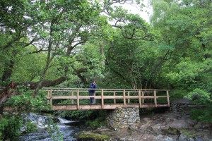 A bridge over the river