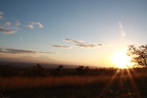 Mt Kilimanjaro in the background