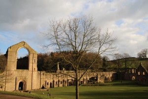 Abbey Ruins