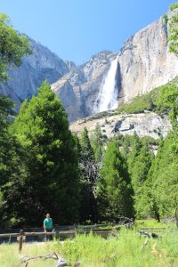 Lower Yosemite Fall