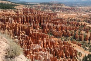 The Famous view in Bryce National Park