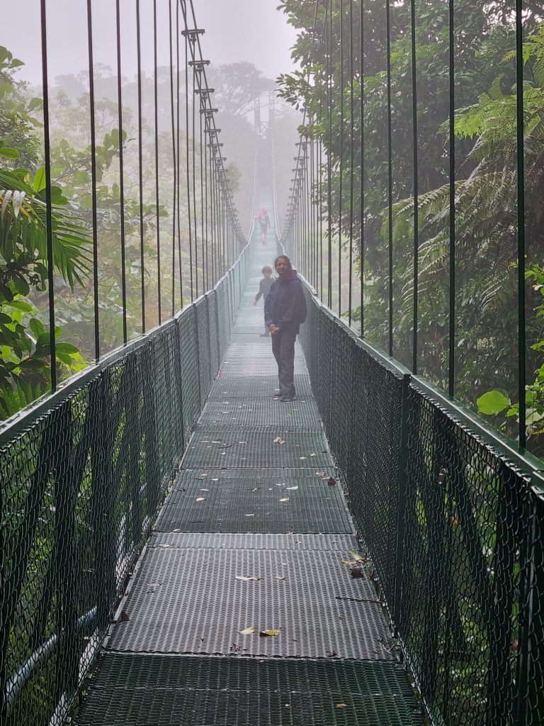 Hanging Bridge