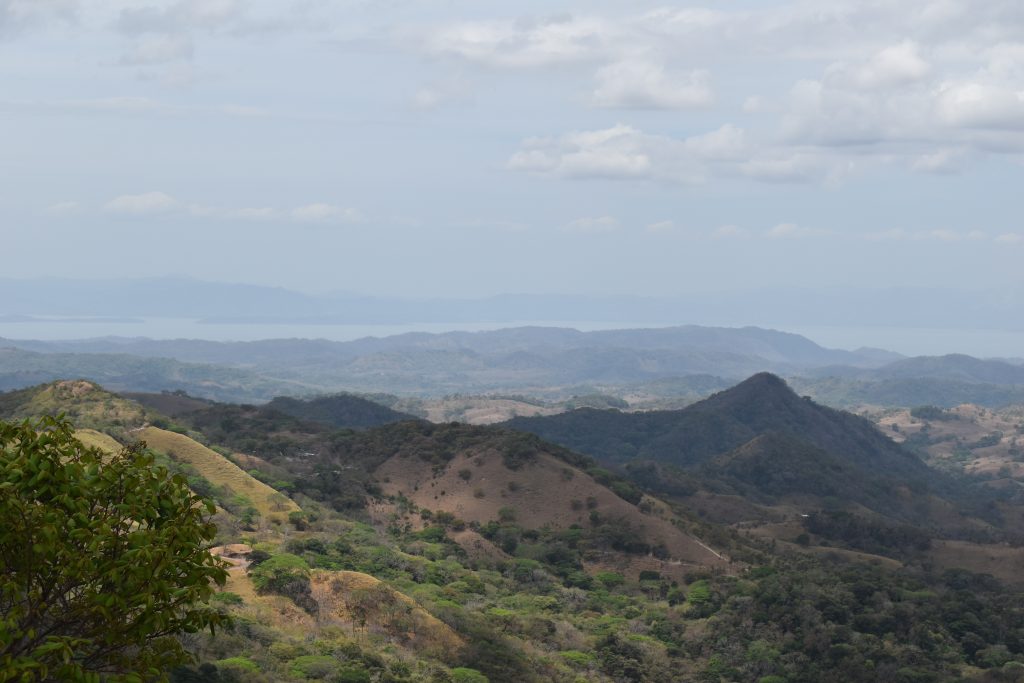 Scenery From Montevede